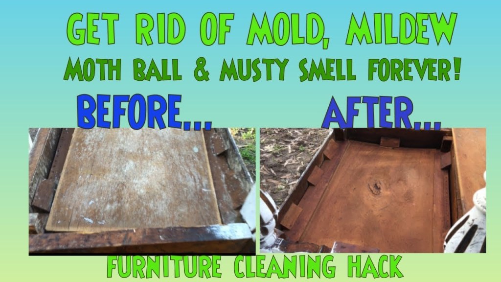 Picture of: Remove Mold & Mildew from Furniture DIY Hack *Stop The Stink Mold, Mildew,  Musty, Moth Balls Hack